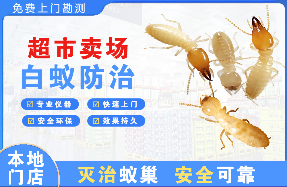 徐州超市卖场白蚁防治