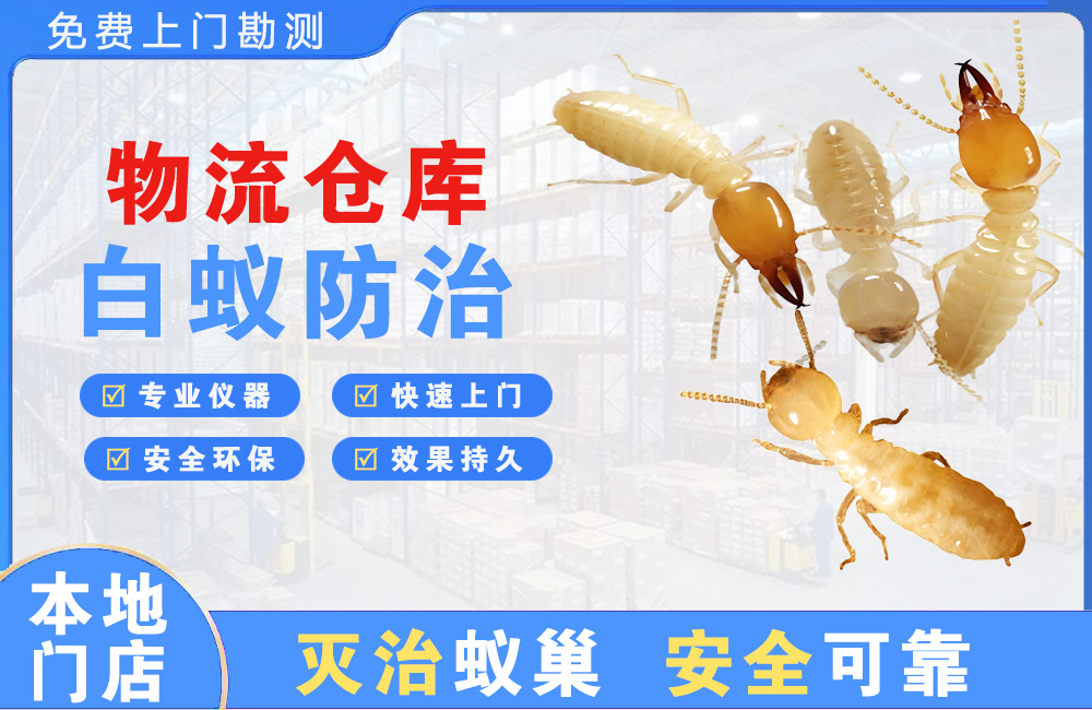 徐州物流仓库白蚁防治