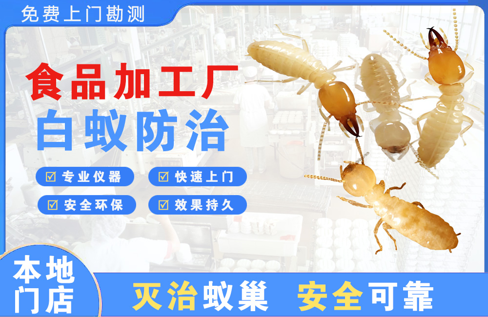 徐州食品加工厂白蚁防治