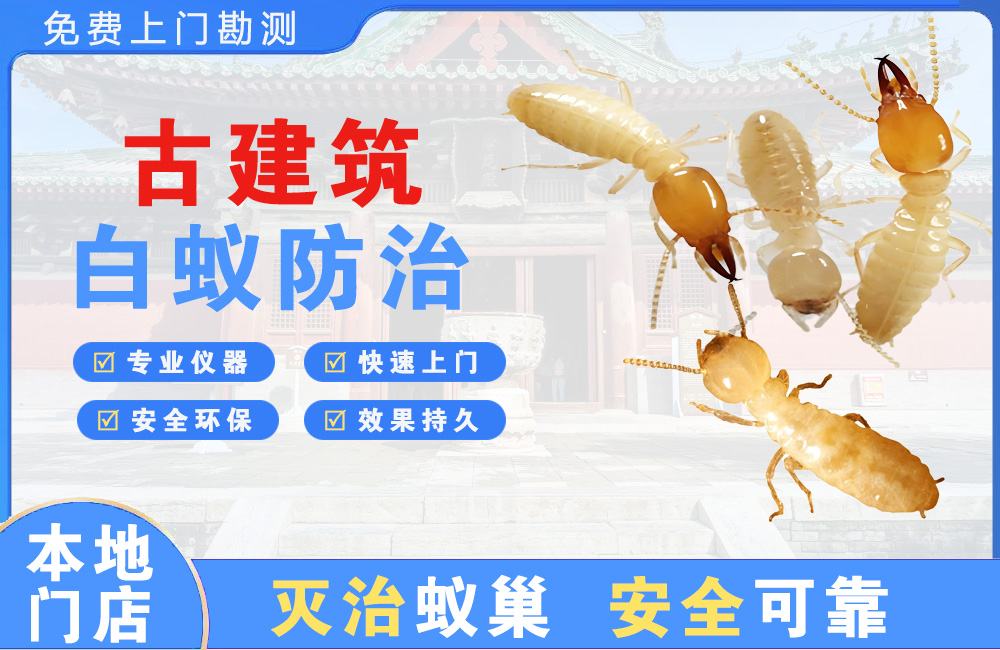徐州古建筑白蚁防治